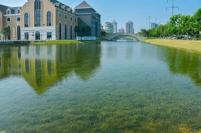 【联盟动态】博世科中标广西大学水污染治理项目，助推校园水生态升级
