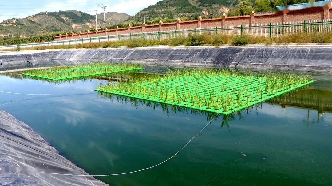 辛少波 全面做好“双百双十”产业培育和水污染防治工作，绘就华池绿色发展新画卷