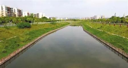 辛世杰率队现场巡河，为打好水污染防治攻坚战把脉问诊