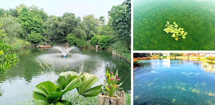 水环境治理与水生态修复 从“水污”到“水清”的治理逻辑